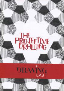 Catalog The Projective Drawing Paris, curator Brett Littman